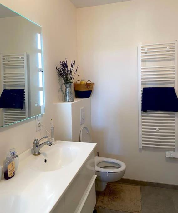 Peaceful Retreat In Drome Provencale Castel Apartment Montboucher-sur-Jabron Ngoại thất bức ảnh